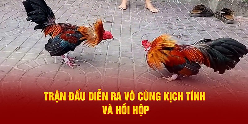 Trận đấu diễn ra vô cùng kịch tính và hồi hộp